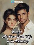 Rebirth: My Dear Little Wife Is So Scheming