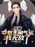 Villain: Seizing the Protagonist's Luck, I Became Invincible